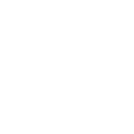 FEA Logo
